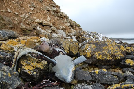 Wreckage along the coast, one of many