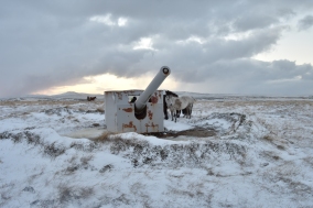WWI guns on Canopus Hill